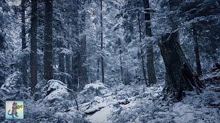 Beautiful Falling Heavy Snow & The Best Relaxing Meditation Music