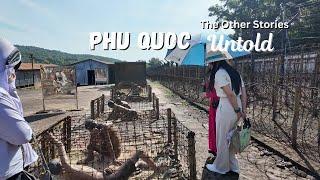 Phu Quoc's Culture and History | The Other Stories You Haven't Heard Of