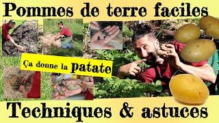 Pommes de terre faciles... Astuces et techniques de productions !