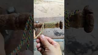 easy twisting rope Technical/ Whipping Knot. #knot #diy #rope
