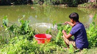 Fishing Video || Fish can be easily caught from the village pond in a short time || Catching fish