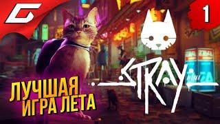 САМАЯ МИЛАЯ ИГРА ПРО КОТИКА  STRAY ◉ Прохождение #1