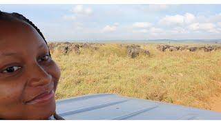 GAME DRIVE THROUGH NAIROBI NATIONAL PARK.