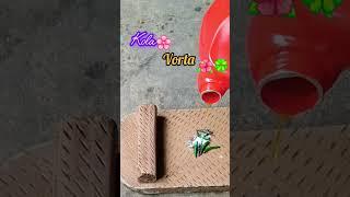 kola vorta recipe