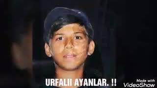 Mustafa Avcı Şanlıurfa Ayanlarıı ParT 2