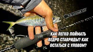 От РЫБЫ ОТБОЯ НЕТУ! Ловля СТАВРИДЫ на СПИННИНГ на ЧЕРНОМ МОРЕ! Rockfishing! САМЫЙ ИНТЕРЕСНЫЙ СПОСОБ!