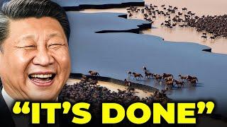 They Released A Herd Of Extinct Horses Into China's Desert... What Happened Next Shocked Biologists