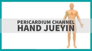 TCM Anatomy: The Pericardium Channel of Hand Jueyin