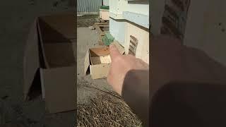 перехожу на яндекс дзен, внизу ссылка на канал, подписывайтесь, буду благодарен.