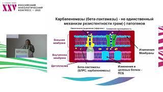 Микробиологический анализ глазами клиницистов. Всегда ли нужно лечить? Клинические примеры