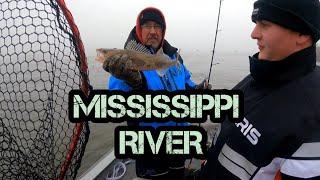 December Walleye and Sauger Fishing!! (Mississippi River 2024)