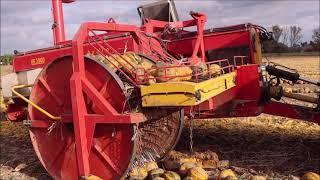 Kürbiskern Ernte am Niederrhein (Uedem) mit Claas Arion 620 Moty KE 3000!