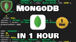 Learn MongoDB in 1 Hour 