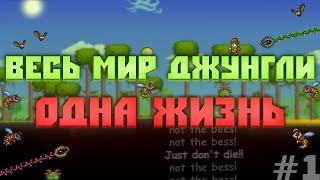 Как жить?! / Terraria - not the bees #1