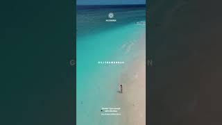 Can't Get Enough of this Blue | Gili Trawangan | Drone shot #shorts #gilitrawangan #drone #nature