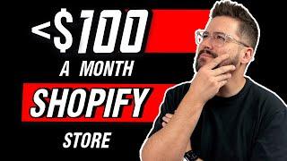 This Shopify T-Shirt Store Makes Less Than $75 Per Month | Store Review