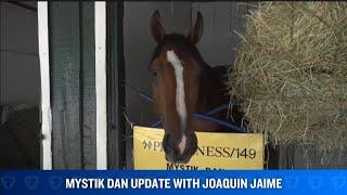 Update on Kentucky Derby Winner & Preakness Stakes Contender Mystik Dan