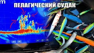 ЗРЕЛИЩНАЯ Рыбалка на Пелагического Судака | Ловля судака на Большие приманки в сентябре.