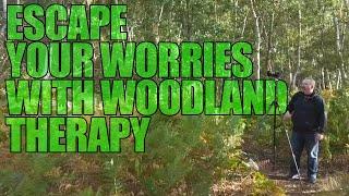 Woodland Photography | Lose Your Mind and Find Your Soul | Woodland Therapy