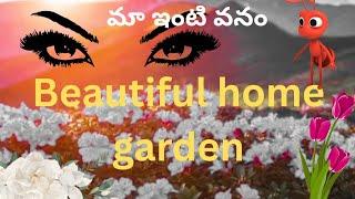 Natural beautiful flowers music #nature#flowers