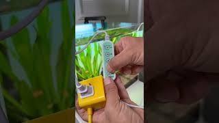 Favorite Small Filter for Aquarium design #trending #aquarium #fishaquarium #fishtanksetup #fish diy