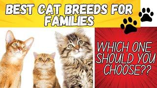 The Best Cat Breeds for Families | Which Cat is Right for You?