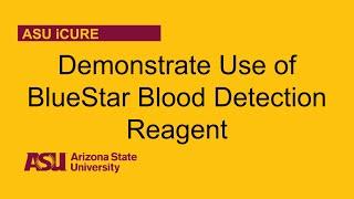 Demonstrate Use of BlueStar Blood Detection Reagent