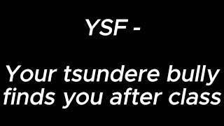 Your tsundere bully finds you after class - YSF