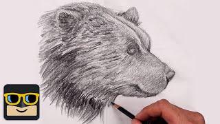 How To Draw a Bear | Sketch Tutorial