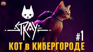 Stray - Кот в Кибергороде - Прохождение #1 (стрим)