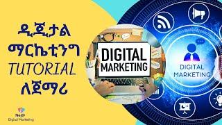 Amharic Digital Marketing Tutor for Beginners. ለጀማሪዎች ዲጂታል ማርኬቲንግ tutor በአማርኛ #rophnan