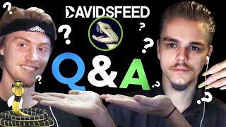 THE BIG Q&A!!! DAVIDSFEED