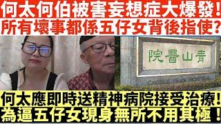 何太何伯被害妄想症大爆發!|所有壞事都係五仔女背後指使?|何太應即時送精神病院接受治療!|為逼五仔女現身無所不用其極!|何太出手投訴邵子風網台|井仔點睇 #何太 #東張西望何伯 #何太無糧軍師