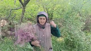 Суханронии истроҳаткунанда аз ноҳияи Айни 22 июни соли 2025 телефон 927868027