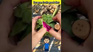 Benefits of dragon fruit