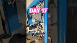 Day 17 - Plumbing Day, Hands-on, Boiler Repair, Spot Prawns, Mario Party