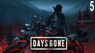 Прохождение игры Days Gone на 100% #5(Учимся Охоте)