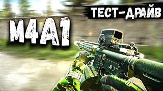 ТАРКОВ | M4A1 | МЕТАСТАЗЫ НОРВИНСКА в Escape From Tarkov | Обзор