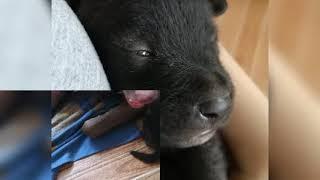 Our FAMILY Is Getting BIGGER
