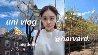 (kor/eng) harvard vlog | law school, midterms 하버드 브이로그