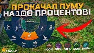 прокачал пуму на 100 процентов в gta 5 rp!Полный гайд по животным!