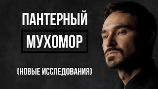 Новые исследования | МИКРОдоз Пантерного Мухомора | Эффекты | Мой опыт #терапия #мухомор