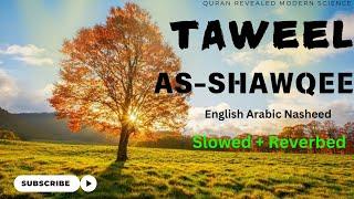 Taweel al shawq Slowed + Reverbed Arabic Nasheed with English lyrics | Ahmed Bukhatir Nasheed 2024