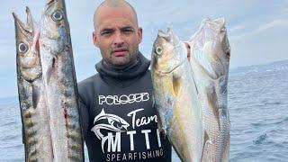 CHASSE SOUS MARINE dernier coup de palmes sur Marseille 