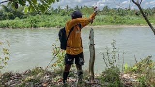 Pasang 16 pancing strikeee sidat panjang 110CM dan berat 4,3kg disungai dekat kuburan #KOOKIKO