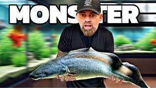 THIS MONSTER CAN CUT FISH IN HALF!!! *UNBOXING*