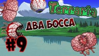 братья ктулху)#9 terraria 1.3(эксперт)