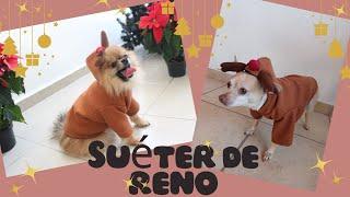 How to make a reindeer dog sweater?