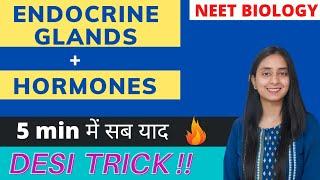 Tricks to Remember All Endocrine Glands and Hormones | NEET BIOLOGY