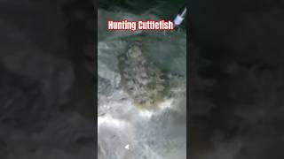 Cuttlefish Hunting #shorts #shortvideo #shortsfeed #fypシ #trendingshorts #viral #ofw